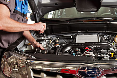 Revizia 9 Foreste (81800 km)